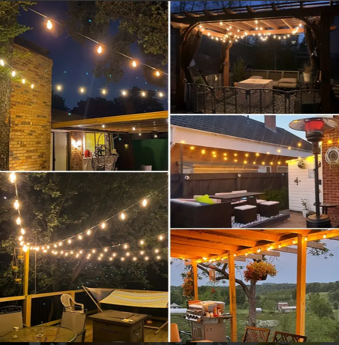 12 Pack Oval Super Festoon Warm White LED Shatterproof Bulbs - Zsazsa Design