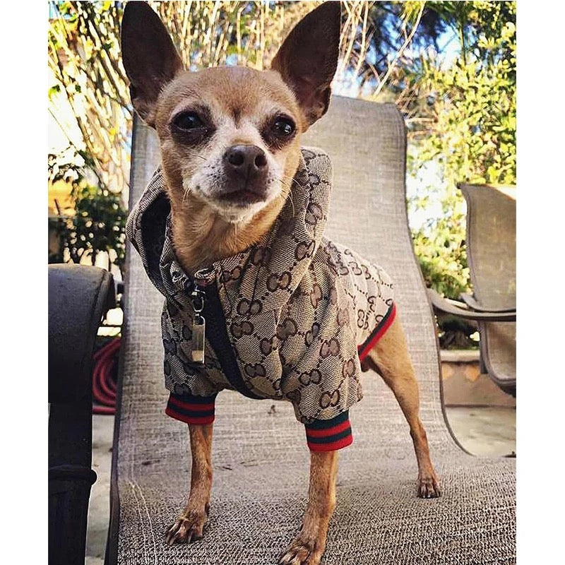 Luxury Dog Hoodie Luxury Design Clothes Winter Jacket Designer Small Medium Large Dog Coats - Zsazsa Design