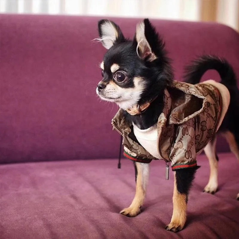 Luxury Dog Hoodie Luxury Design Clothes Winter Jacket Designer Small Medium Large Dog Coats - Zsazsa Design