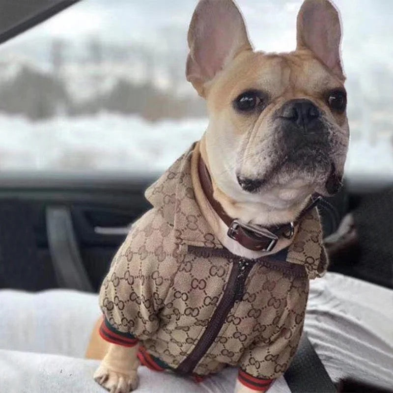 Luxury Dog Hoodie Luxury Design Clothes Winter Jacket Designer Small Medium Large Dog Coats - Zsazsa Design