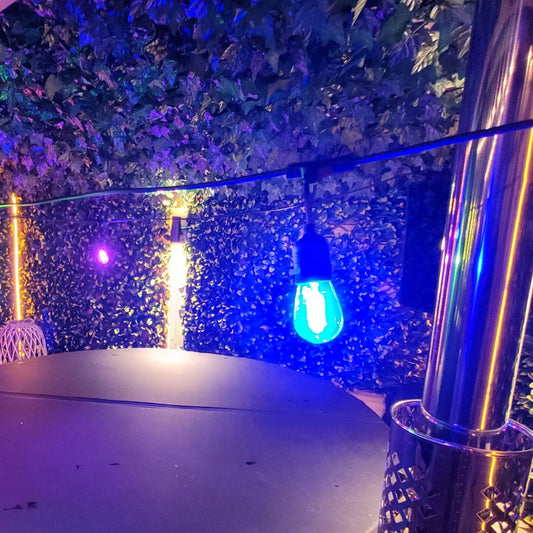 10 Pack Outdoor Elite Festoon Waterproof LED Colour Bulbs