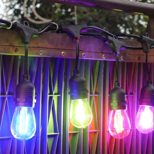16 Pack Elite Festoon LED Spare Outdoor Multi-Colour / Festive Colour Bulbs - Zsazsa Design